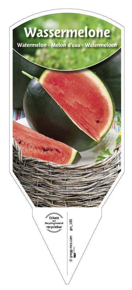 Melone, Wasser-