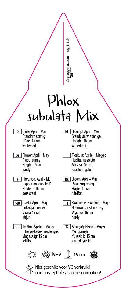 Phlox subulata Mix