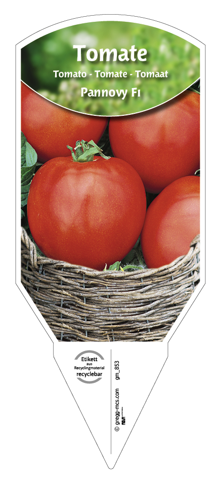 Tomaten, Pannovy F1 