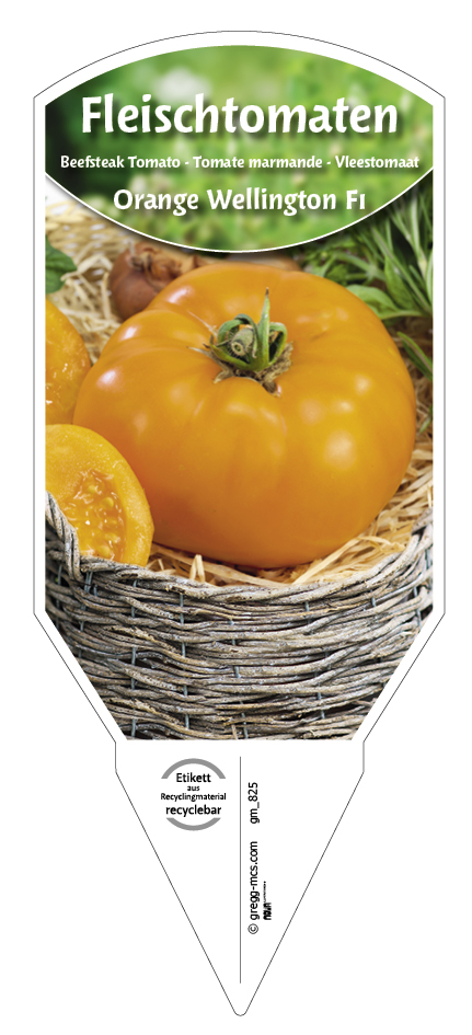 Tomaten, Fleisch- Orange Wellington F1