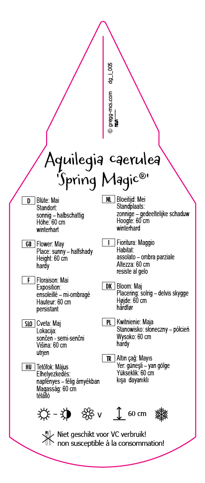 Aquilegia caerulea Spring Magic