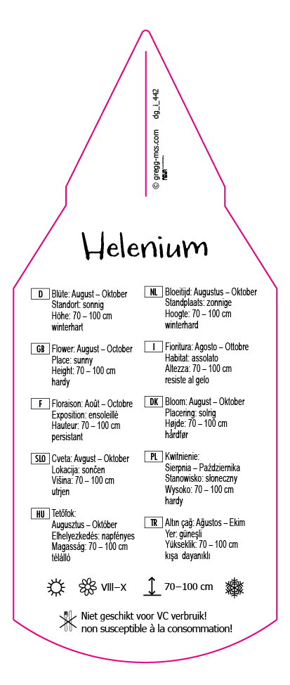 Helenium gelb