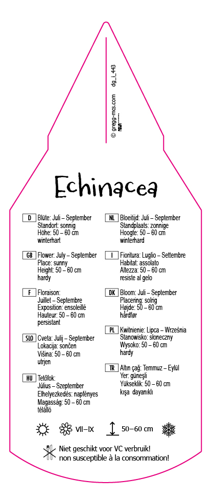 Echinacea gelb