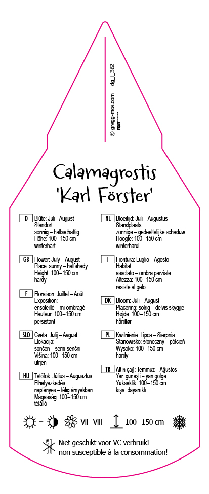 Calamagrostis Karl Förster
