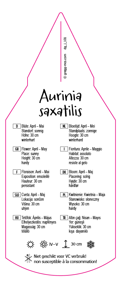 Aurinia saxatilis (Alyssum)