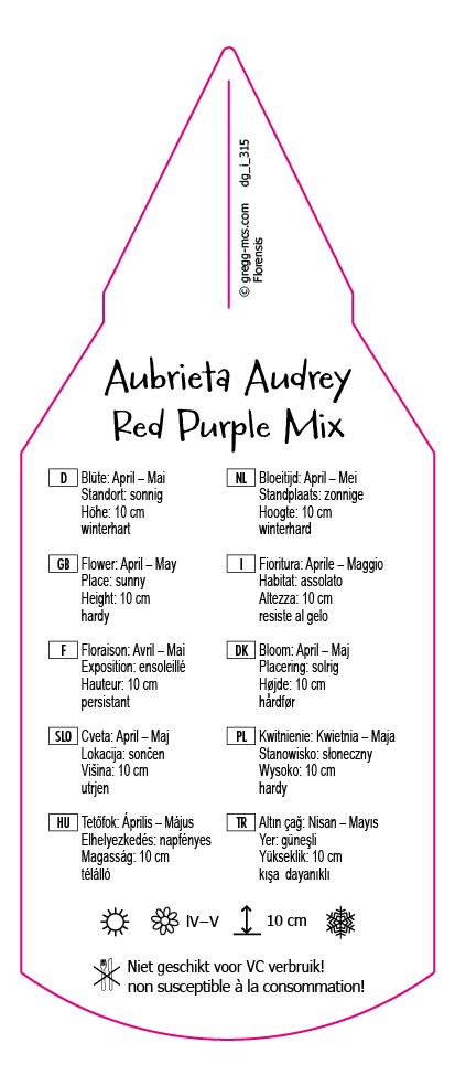 Aubrieta Audrey Red Purple Mix