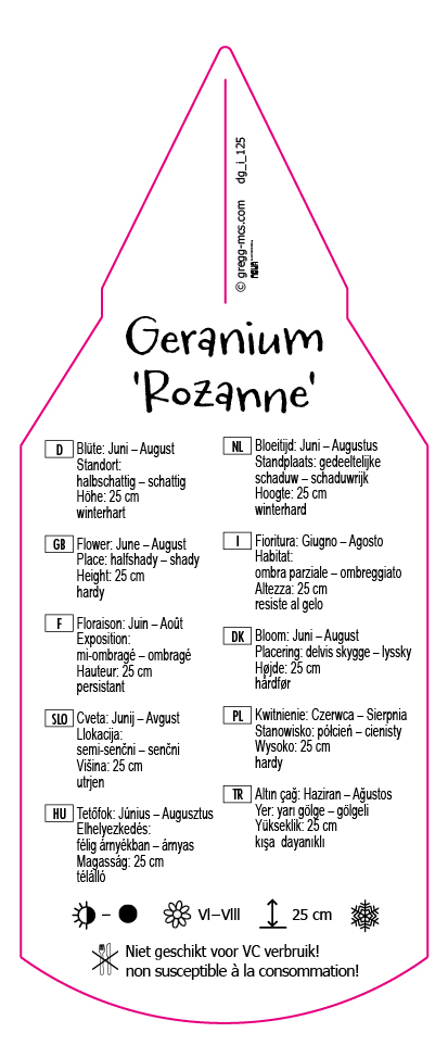 Geranium Rozanne