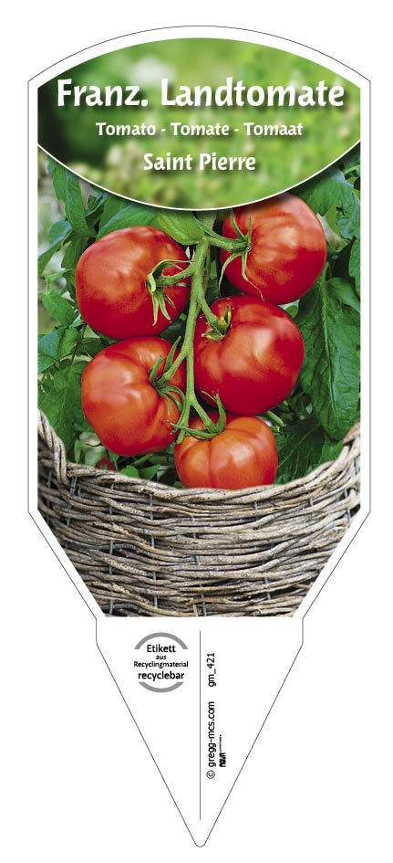 Tomaten, Land- Französiche Saint Pierre 
