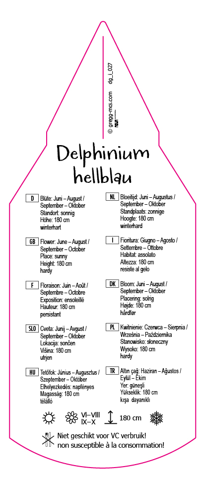 Delphinium hellblau