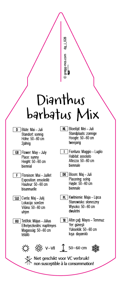 Dianthus barbatus Mix