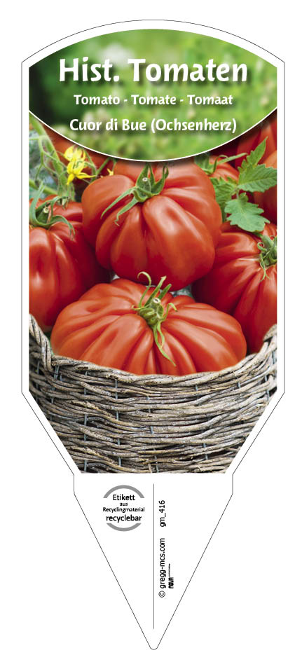 Tomaten, Historische Cuor di Bue (Ochsenherz)