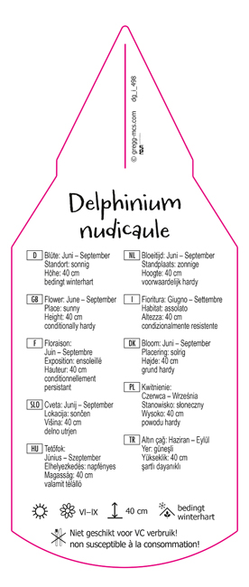 Delphinium nudicaule