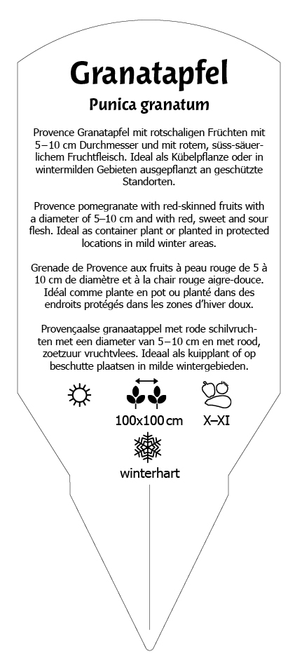 Granatapfel Provence