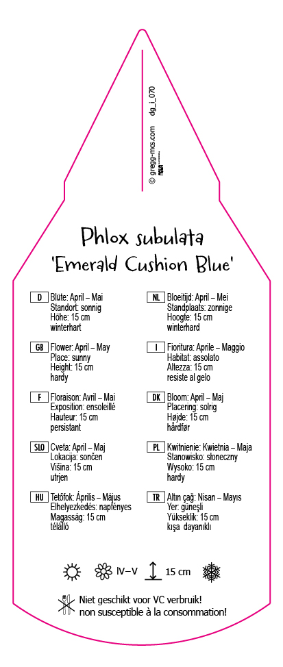 Phlox subulata Emerald Cushion Blue