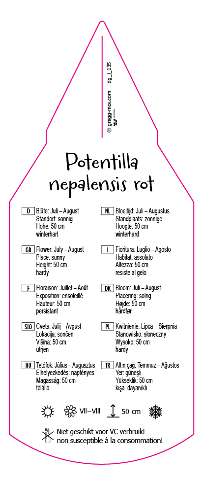 Potentilla nepalensis rot