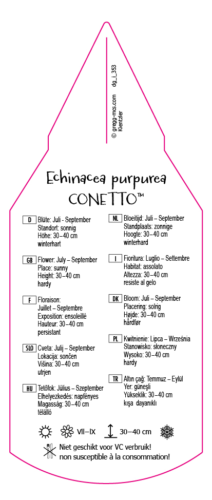 Echinacea purpurea Conetto Mix
