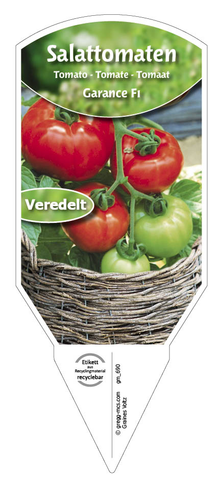 Tomaten, Salat- Garance F1 veredelt