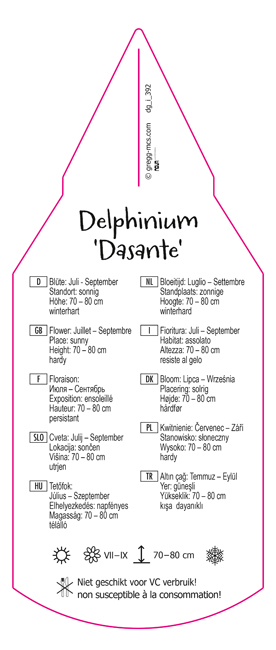 Delphinium Dasante