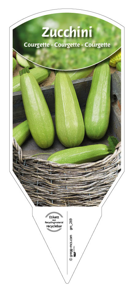 Zucchini, hellgrün