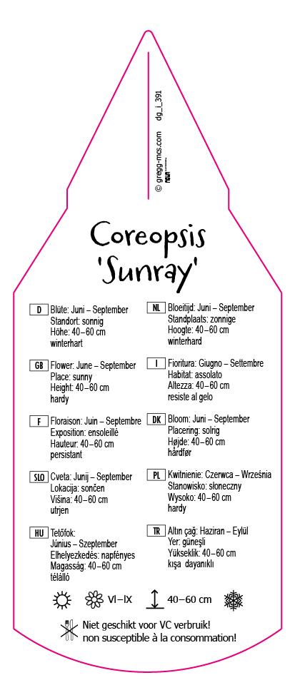 Coreopsis Sunray