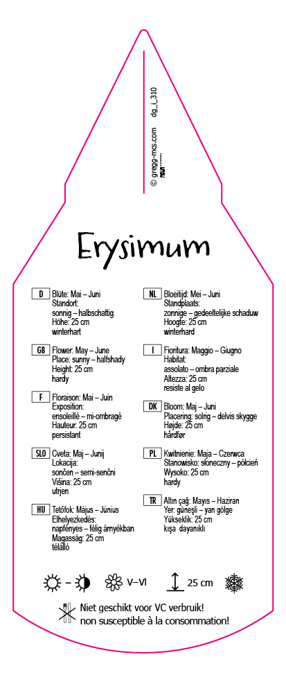 Erysimum suffruticosum Goldstaub