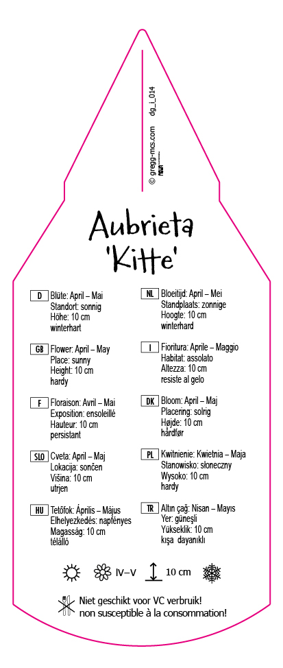 Aubrieta Kitte