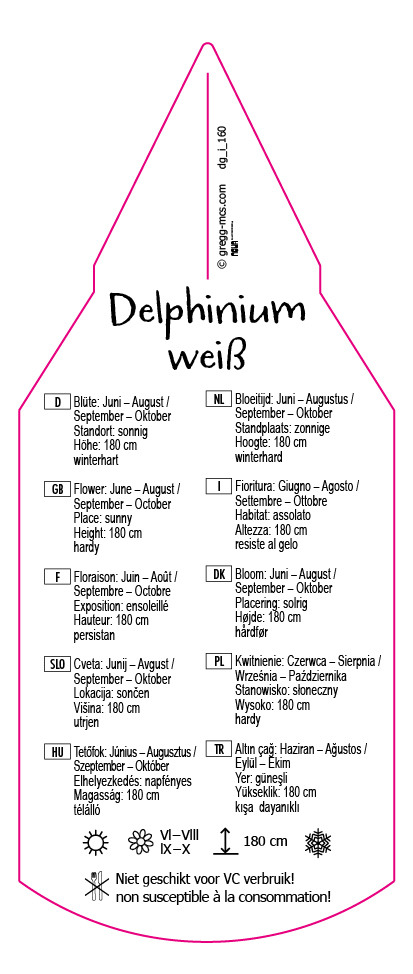 Delphinium weiß