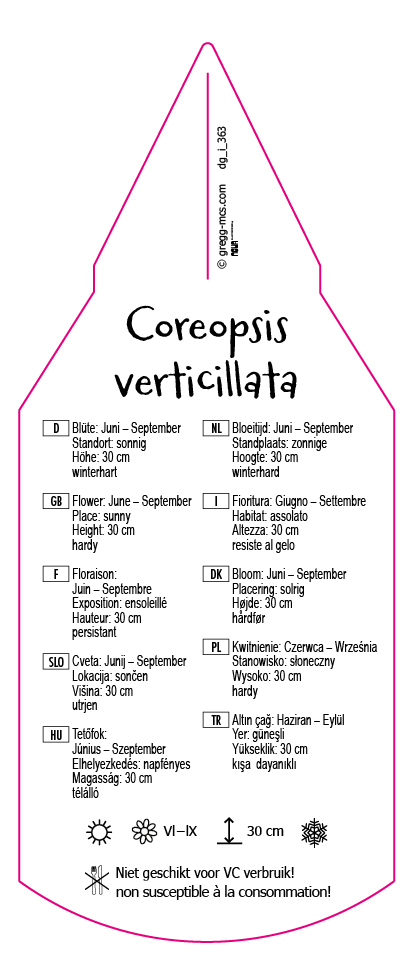 Coreopsis verticillata