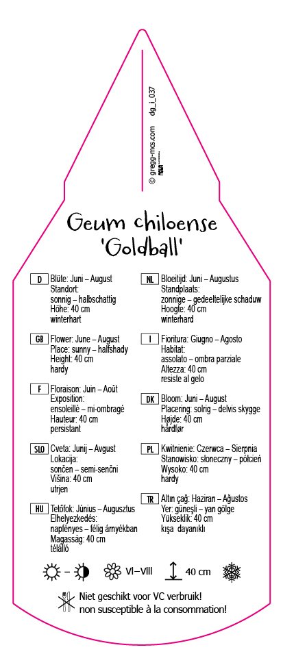Geum chiloense Goldball