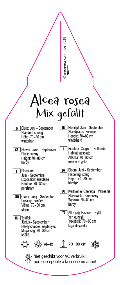 Alcea rosea Mix gefüllt