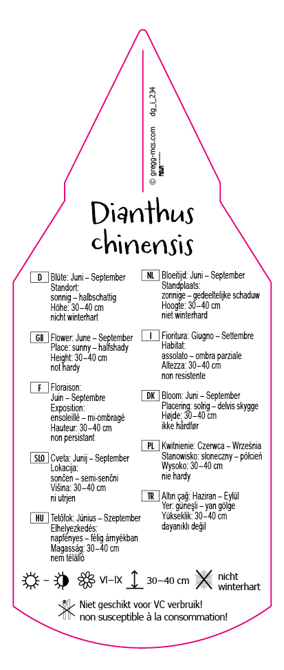 Dianthus chinensis Mix