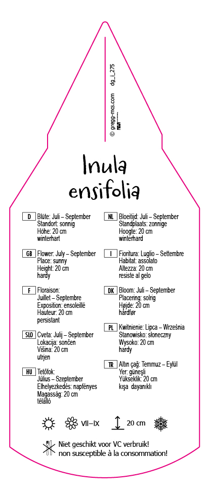 Inula ensifolia gelb