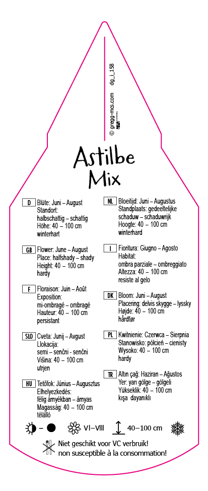 Astilbe Mix