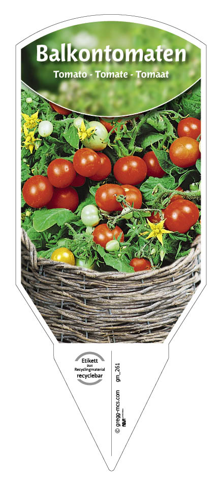 Tomaten, Balkon-