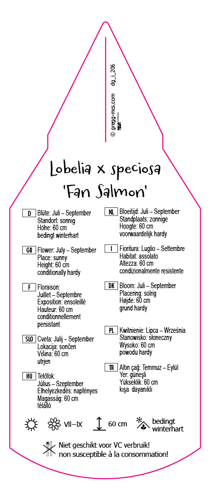 Lobelia y speciosa Fan Salmon