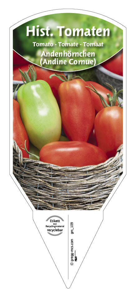 Tomaten, Historische Andenhörnchen (Andine Cornue)