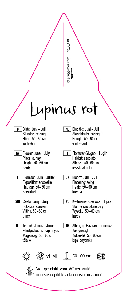 Lupinus rot