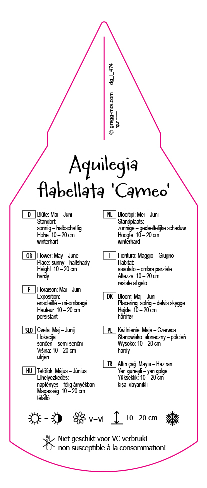 Aquilegia flabellata Cameo rot/weiß