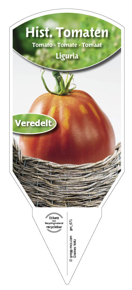 Tomaten, Historische Liguria veredelt