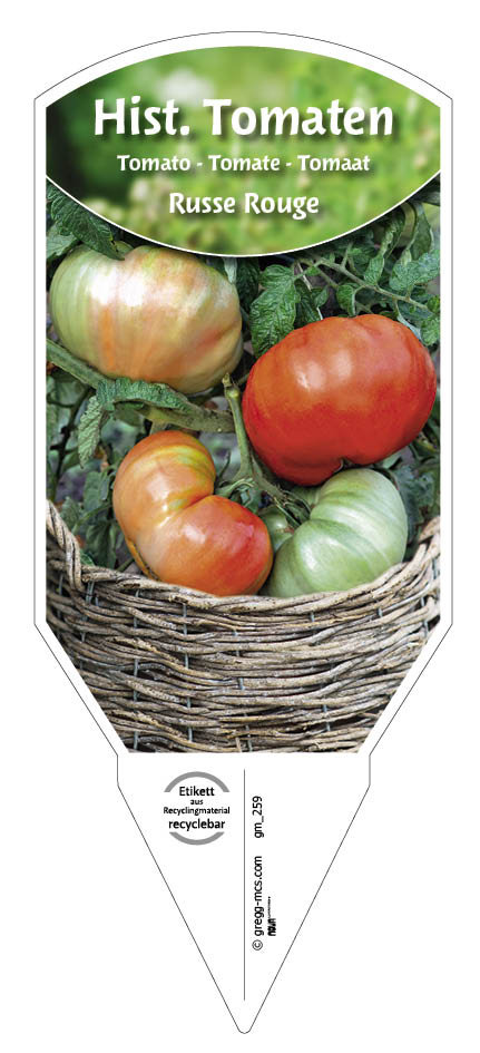 Tomaten, Historische Russe Rouge 