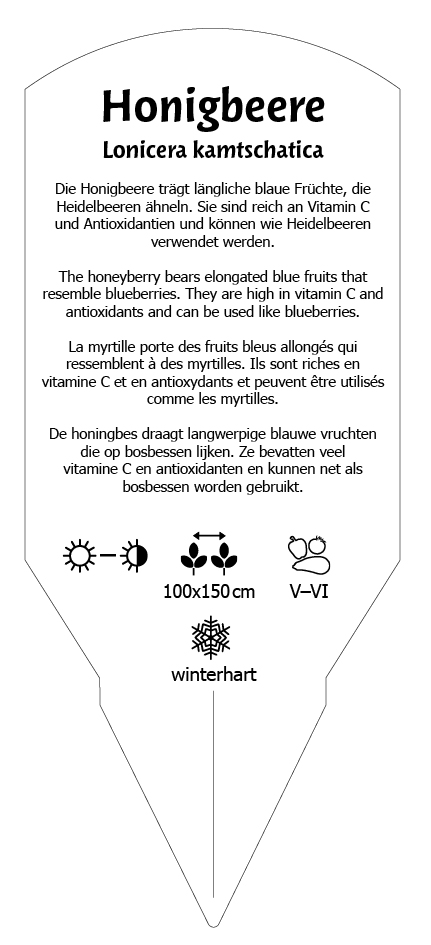 Honigbeere Blue Velvet