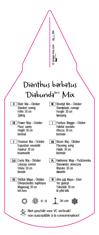 Dianthus barbatus Diabunda Mix