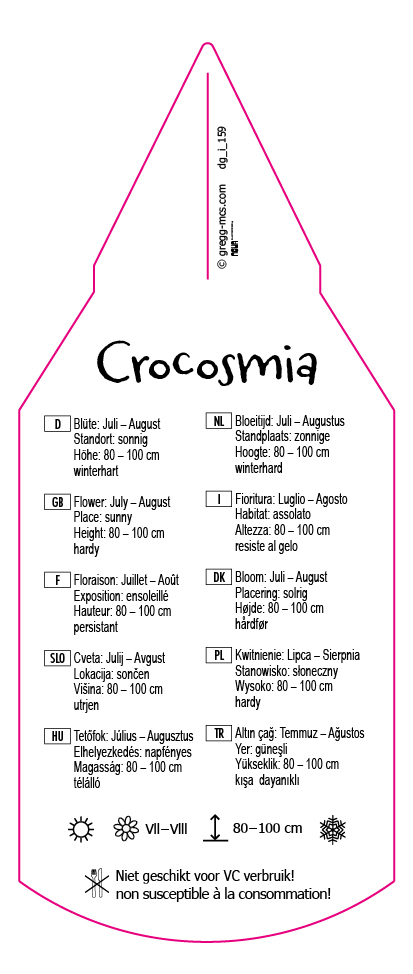Crocosmia