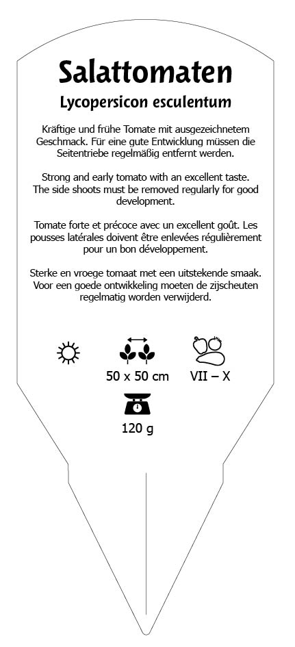 Tomaten, Salat- Montfavet 63/5 F1 veredelt