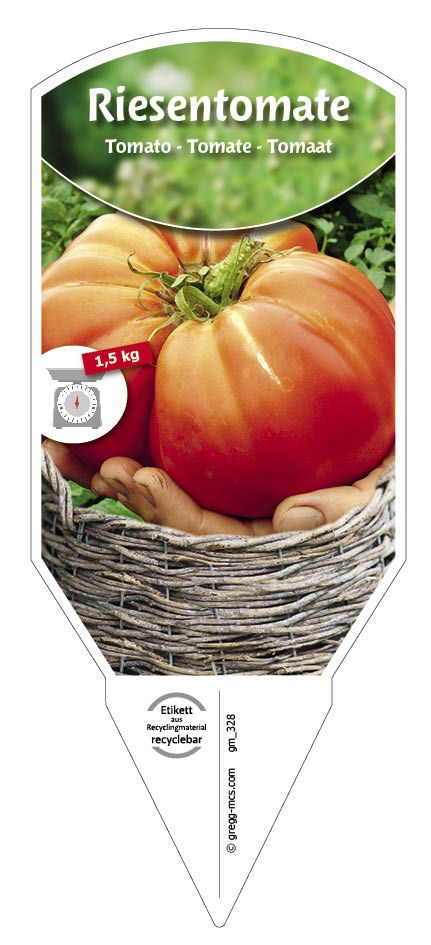 Tomaten, Riesen- Gigantomo 