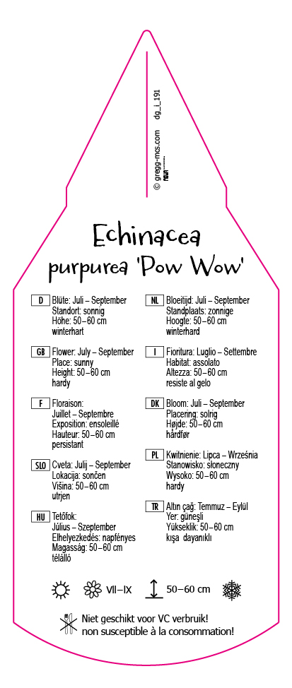Echinacea purpurea Pow Wow