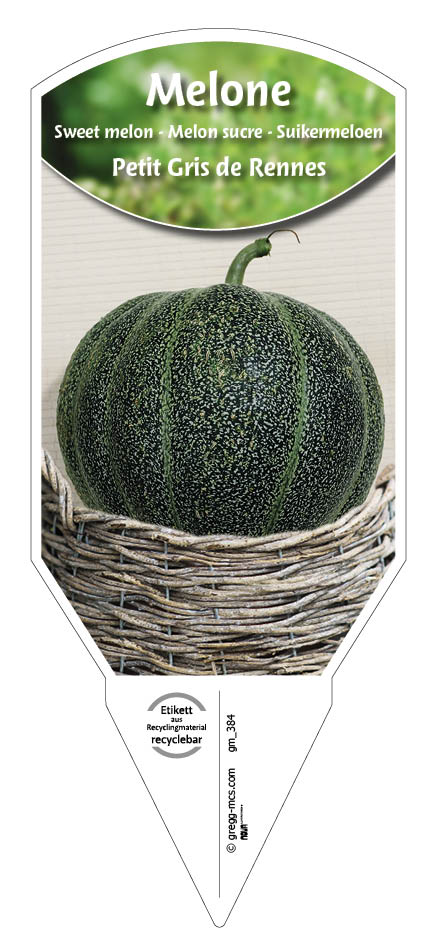 Melone, Petit Gris de Rennes