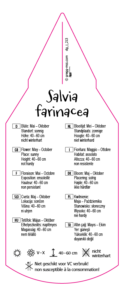 Salvia farinacea Mix