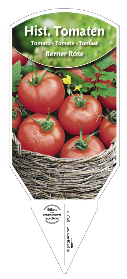 Tomaten, Historische Berner Rose 