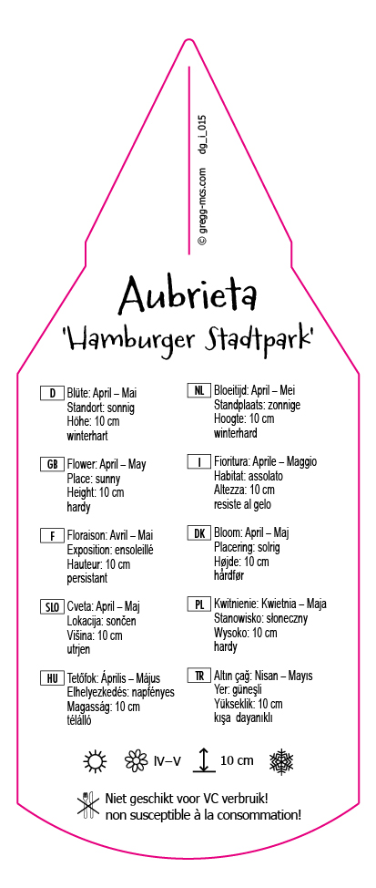 Aubrieta Hamburger Stadtpark
